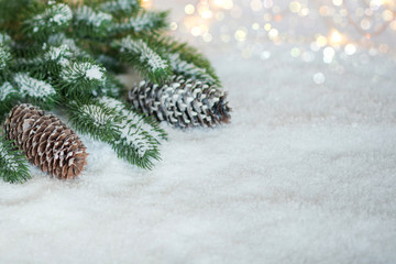 Fototapeta na wymiar Christmas tree pine branches and snow on a light background.