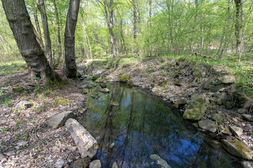 Small creek in the Pilis
