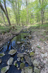 Small creek in the Pilis