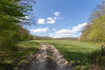 Green meadow in the Pilis