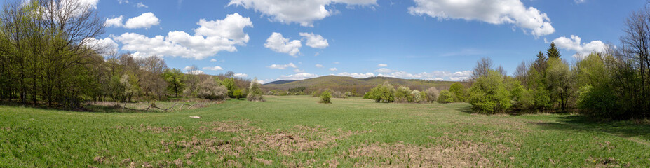 Fototapeta na wymiar Green meadow in the Pilis
