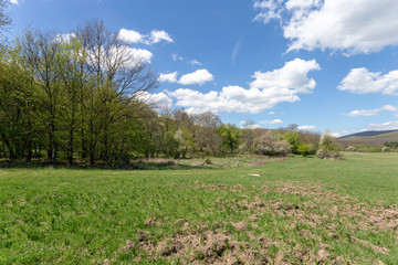 Fototapeta na wymiar Green meadow in the Pilis
