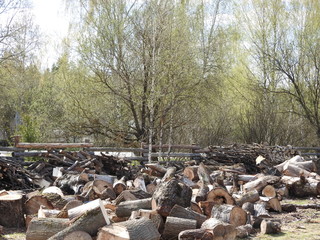 Pile of wood logs ready for winter.
