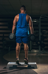 Back view of strong healthy athlete with dumbbells training in gym