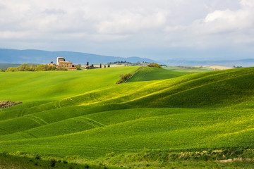 Fototapeta na wymiar Crete Senesi green hills in Tuscany