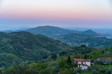 Fototapeta na wymiar Horizontal evening pink landscape with a villa surrounded with olive trees in Alteto, Toscany