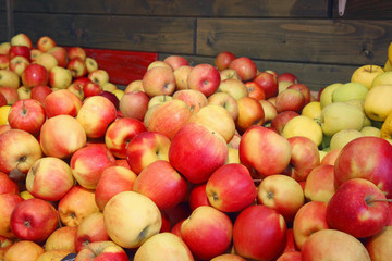 Red and yellow apples at the market. Many ripe apples on wooden background. Space for text