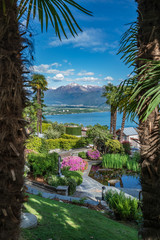 Fototapeta na wymiar Spring view of lake maggiore surrounded by palms in Orselina, Switzerland