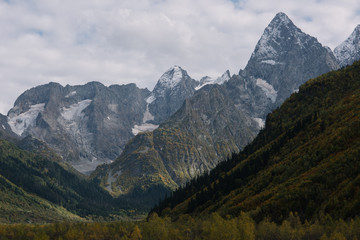 Mountain landscape in summer on a clear sunny day.