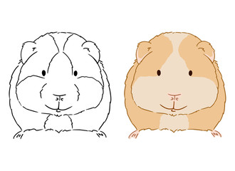 Illustration of little cute guinea pig on white background. Hand drawn vector art of small cavy good for coloring for children. Domestic animal drawing.