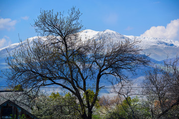 Obraz premium Amazing landscape with trees and Lalvar mountain, Armenia