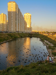 a small pond with ducks surrounded by high-rise buildings in the rays of the setting sun