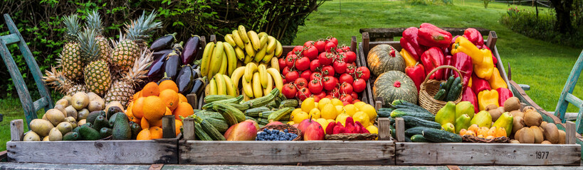 Esposizione di frutta e verdure