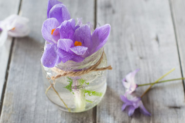 Beautiful crocus flowers in glass vase on wooden table
