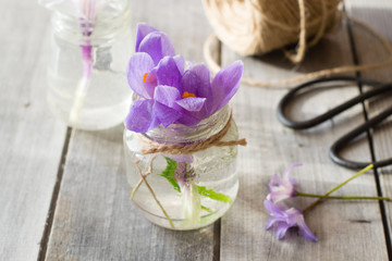 Beautiful crocus flowers in glass vase on wooden table