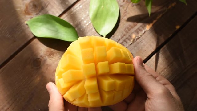 Mango Cut Open By Male Hands. Closeup View. Exotic Tropical Juicy Ripe Fruit