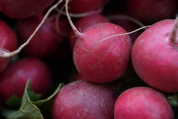 Fresh harvest radish on a market in Spain.