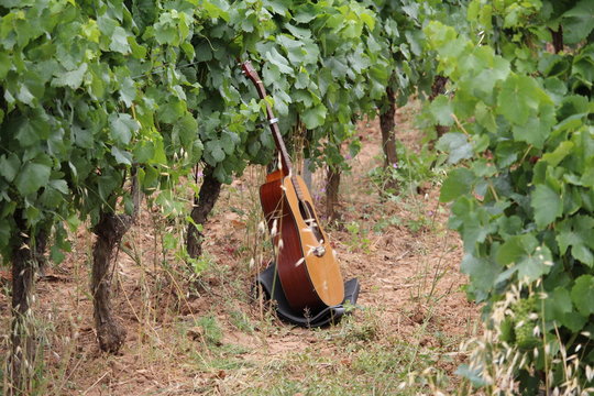 guitare acoustique