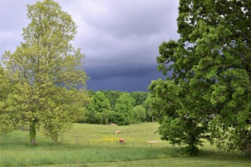 Approaching storm