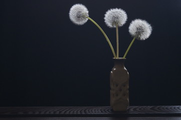 Background with wildflowers - dandelion flowers, dandelion seeds 