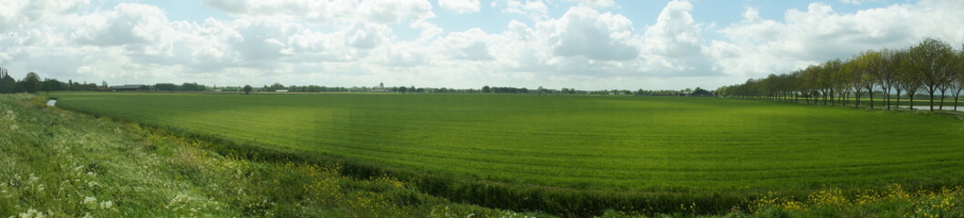 landscape with green field and blue sky