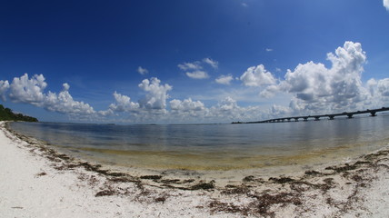 Obraz premium Bailey Beach view