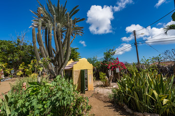    Views arund the small caribbean Island of Curacao