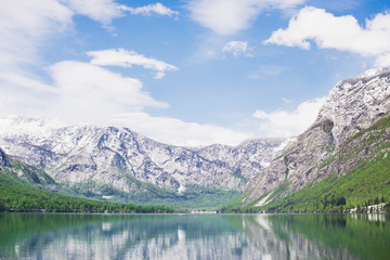 Fototapeta na wymiar Lake Bohinj in Triglav National Park area in Slovenia, wonderful reflection on a sunny day