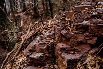 Red cracked rocky wall covered by old dry leaves , close up
