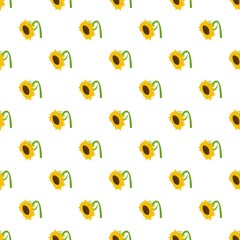 Beautiful sunflower pattern seamless vector repeat for any web design