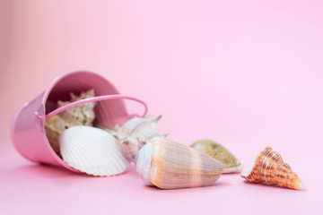 Sea shells of various sizes are scattered from a pink bucket on a pink background, empty space to the right.