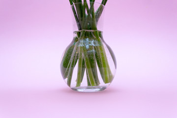flower roots in a vase