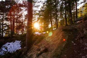 Wanderweg mit Abendsonne