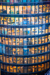 London, UK. Office windows of City of London buildings at night 