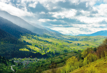Fototapeta premium road through the village in valley of Carpathians. lovely springtime scenery in mountains of Synevyr National park