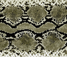 Snake skin gold pattern. Texture snake. Fashionable print. Fashion and stylish background