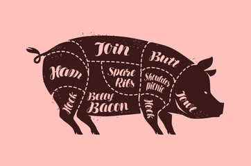 Cuts of meat, pig. Butcher shop, pork vector illustration