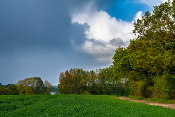 Fototapeta na wymiar clouds above the field before the rain