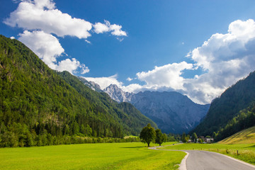 Fototapeta na wymiar Summer View of The Logar Valley in Kamnik Mountains, Slovenia