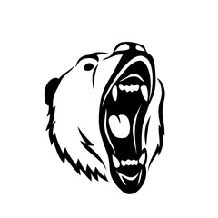 Grizzly bear - isolated 