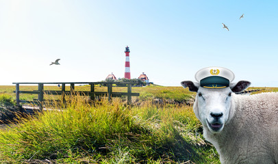Leuchtturm Westerhever als Wahrzeichen in Schleswig-Holstein mit Schaf und Möwen, Werbung für...