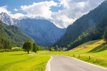 Fototapeta na wymiar Summer View of The Logar Valley in Kamnik Mountains, Slovenia