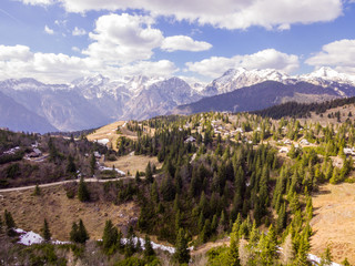Fototapeta na wymiar Velika Planina Alpine Meadow, aerial photo of beautiful nature on a sunny day