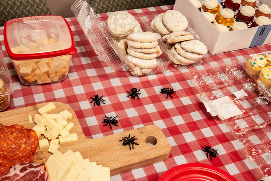 Office Luncheon Spread (10)