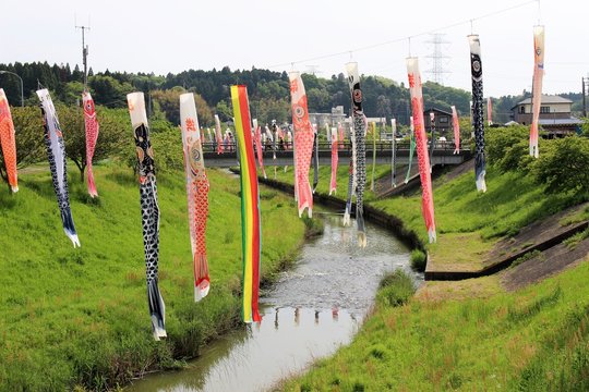 市原市瀬又地区村田川のこいのぼり