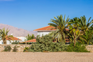 Fototapeta na wymiar villa apartments in Israel with palm trees garden back yard 