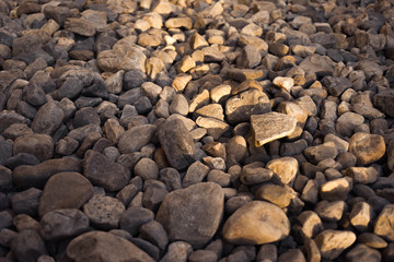 stones in the sun light