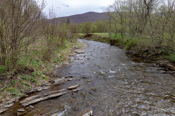 Mountain river in central europe. A fast stream high in the mountains.