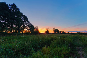Fototapeta na wymiar Sunset in summer field