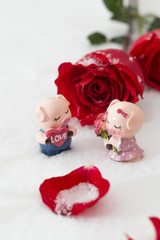 Piggy dolls in the snow